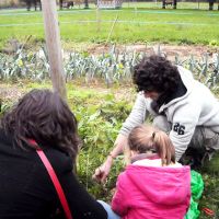 Les visites à la ferme