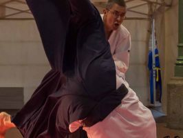 ecole d arts martiaux rennes Tout Rennes Au Dojo