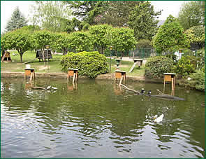 aquarium rennes Parc Ornithologique de Bretagne