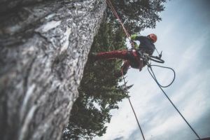 service forestier rennes De Champsavin Élagage Rennes