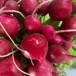 magasin de fruits secs rennes Du Panier à l'Assiette