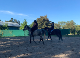 club equestre strasbourg Centre équestre des Deux-Rives