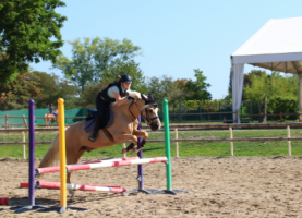 club equestre strasbourg Centre équestre des Deux-Rives