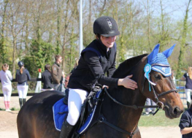 club equestre strasbourg Centre équestre des Deux-Rives