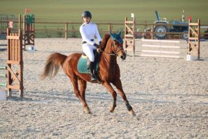 centre equestre strasbourg Club Hippique Saint-Hubert