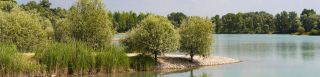 site de peche strasbourg Fédération du Bas-Rhin pour la Pêche et la Protection du Milieu Aquatique