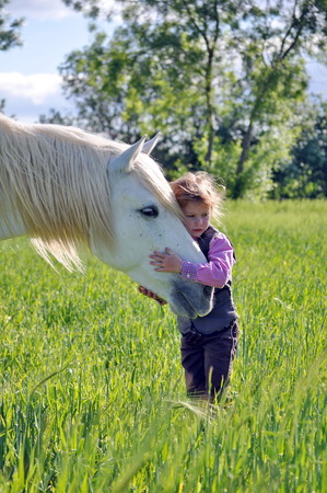 eleveur de chevaux strasbourg Elevage de Chance