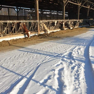 ferme a visiter strasbourg Ferme du Bruehl