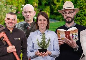 fournisseur de plantes artificielles strasbourg Les Jardins de Gally Strasbourg