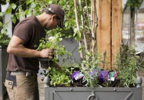 fournisseur de plantes artificielles strasbourg Les Jardins de Gally Strasbourg