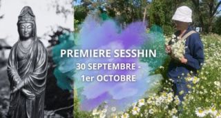 Retraite de méditation - Ma première sesshin 30 septembre - 1er octobre