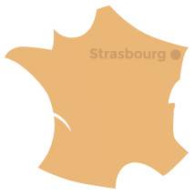 demenageur strasbourg Demexpert SARL