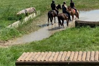 terrain d equitation strasbourg Club Hippique d'Eckwersheim